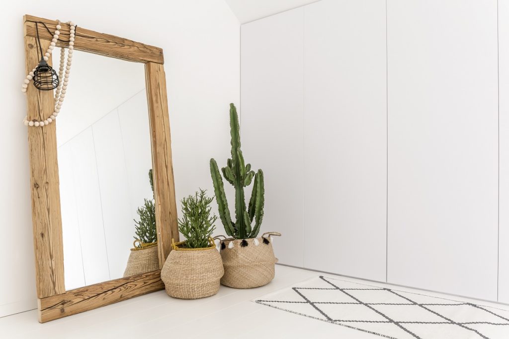 mirror and plant decor