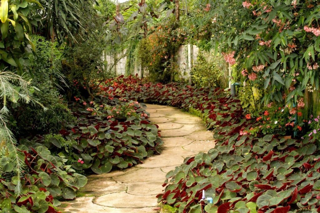 garden pathway